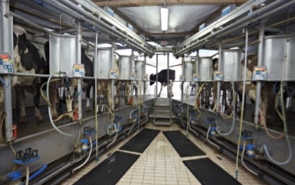 Milk & Dairy Milk & Dairy
