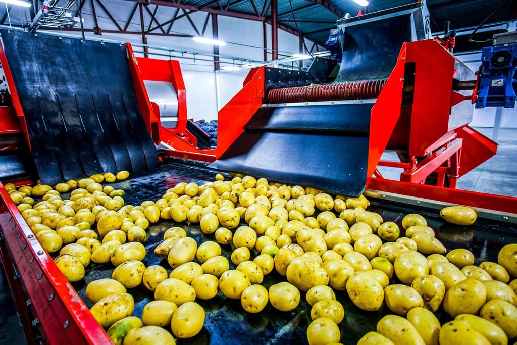 Potatoes - Food & Beverage Potatoes - Food & Beverage